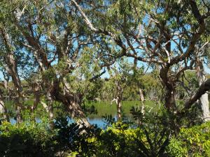 a lagoon at Horseshoe Bay