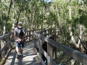 a boardwalk across Horseshoe Bay lagoon