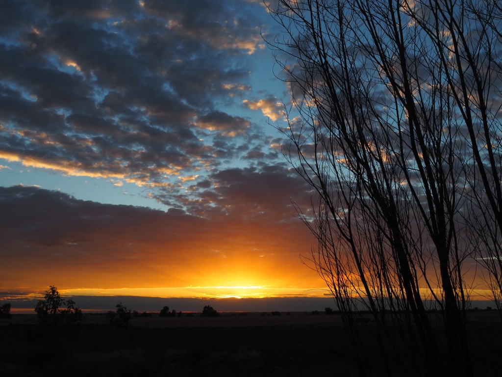 a sublime scene - a sunrise at Julia Creek, Queensland